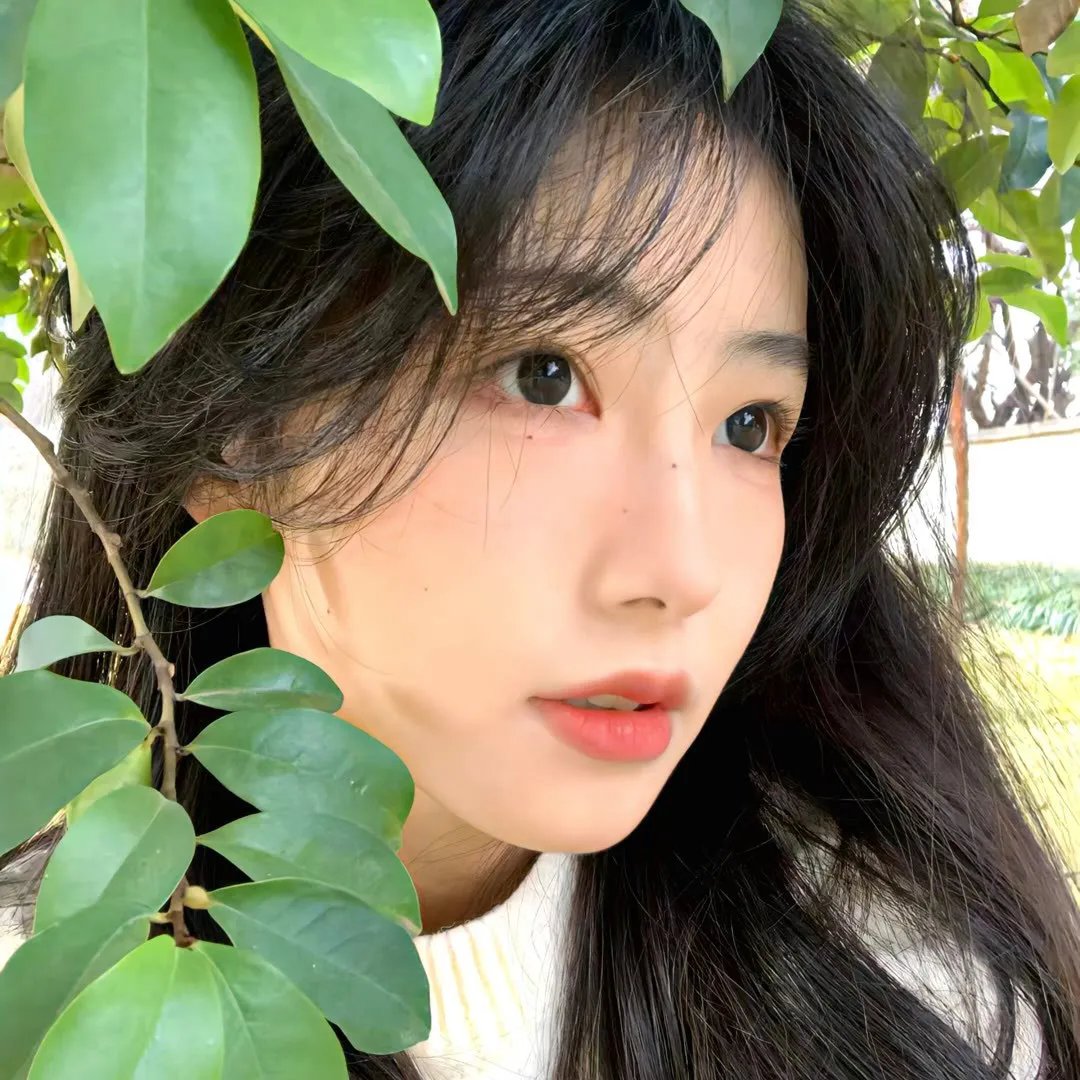海人鱼